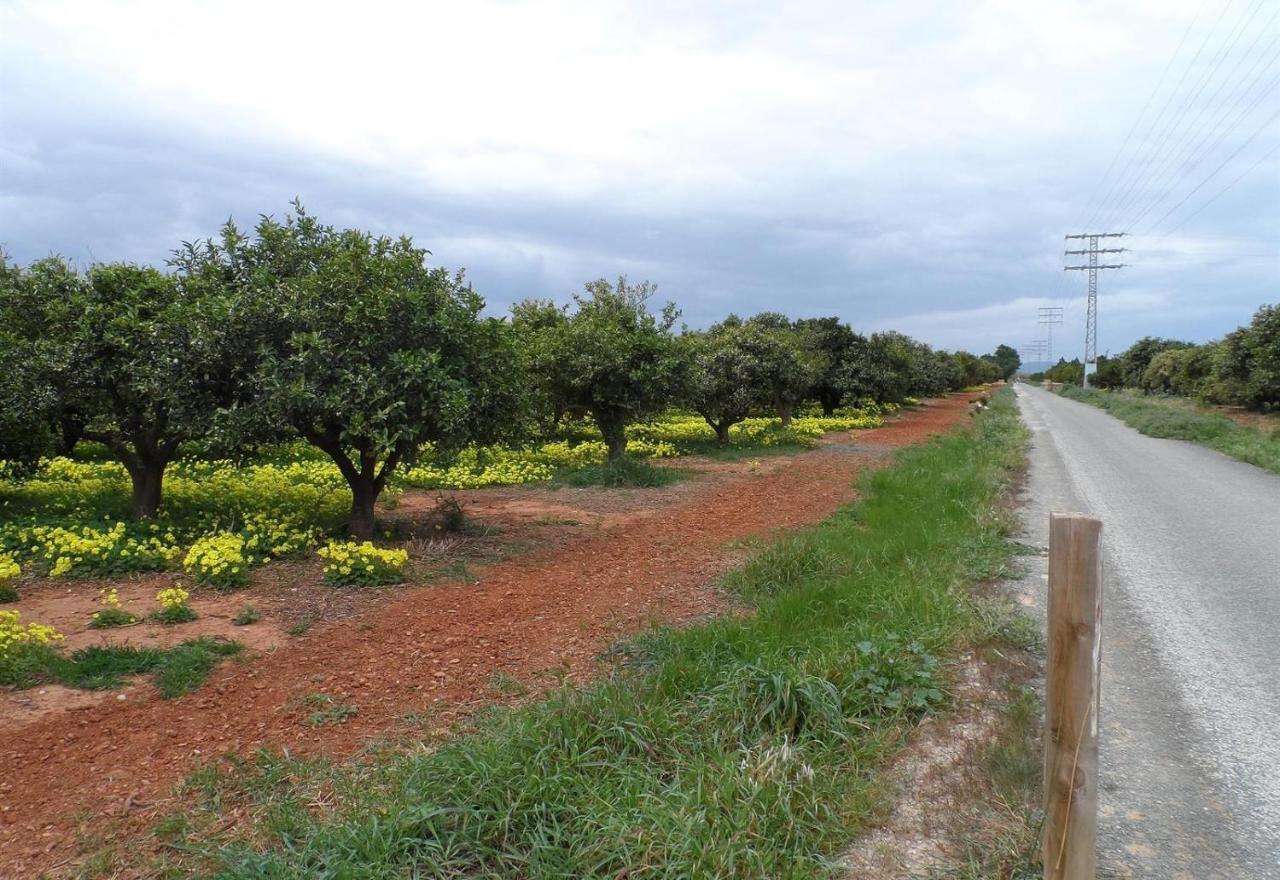 Вилла Jardines De Denia 3 Экстерьер фото